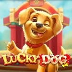 Lucky Dog PP